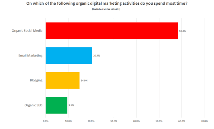 Digital marketing survey
